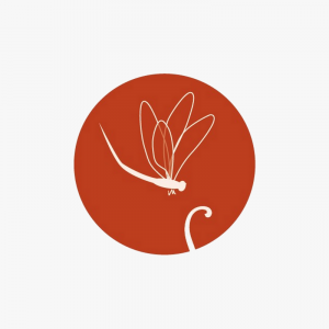 logo agence immobilière Esprit du Sud